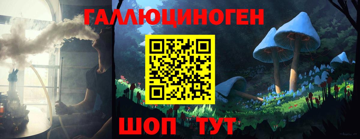 Прохладный  Псилоцибиновые грибы Psilocybe  Вход с VPN 