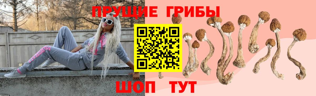 Галлюциногенные грибы мухоморы Прохладный